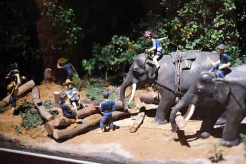 Chiang Mai: Temples & Culture Tour