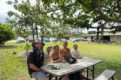 Cairns: Half-Day Premium 4WD Rainforest & Waterfall Tour Half Day Tour