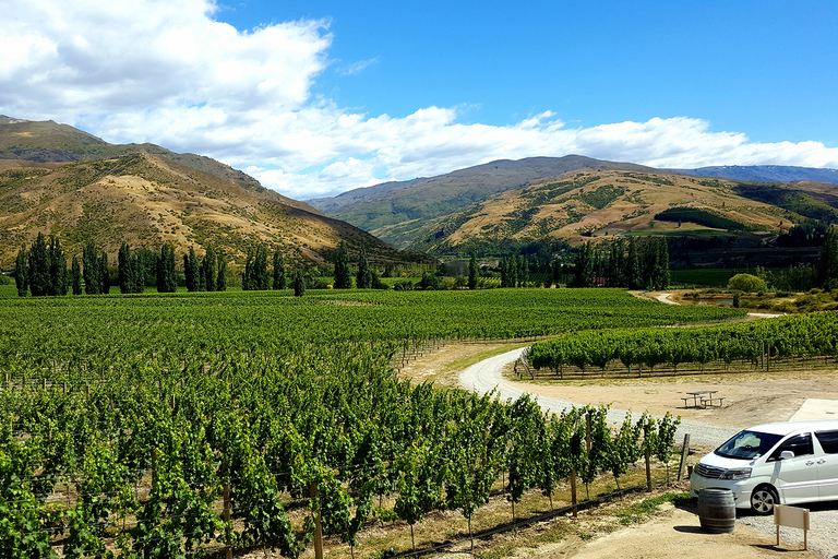 Boutique-Weintour in Central Otago mit Sommelier-Führung