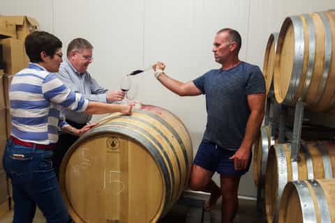 Queenstown: Boutique Wine Tour in Central Otago Wine Region