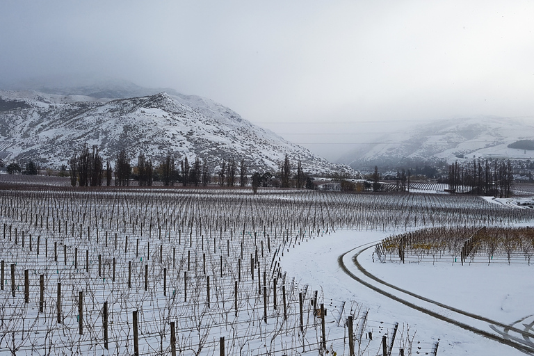 Boutique-Weintour in Central Otago mit Sommelier-Führung