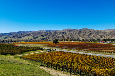 Boutique-Weintour in Central Otago mit Sommelier-Führung