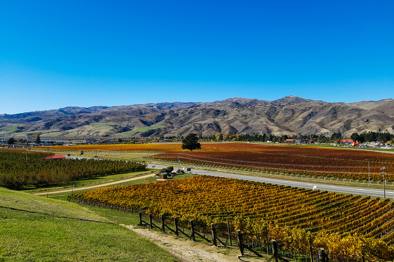 Boutique-Weintour in Central Otago mit Sommelier-Führung