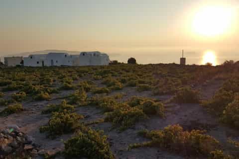 Santorini: 5-Hour Private Wine Tour