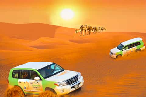 Dubai: safari nel deserto, cena, sandboarding e cammello