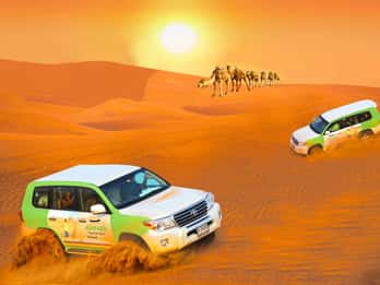 Dubai: Wüstensafari mit BBQ, Kamelritt & Sandboarding Dubai: Wüstensafari mit BBQ, Kamelritt & Sandboarding