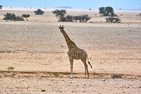 Walvis Bay: Dagstur med landskap, berg och vilda djurWalvis Bay: Wildlife Photography heldagsutflykt