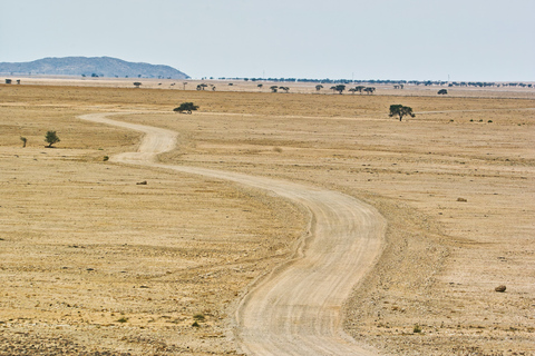 Walvis Bay: Dagstur med landskap, berg och vilda djurWalvis Bay: Wildlife Photography heldagsutflykt