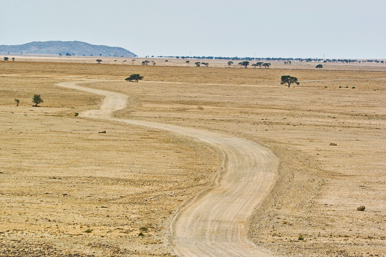 Walvis Bay: Dagstur med landskap, berg och vilda djurWalvis Bay: Wildlife Photography heldagsutflykt