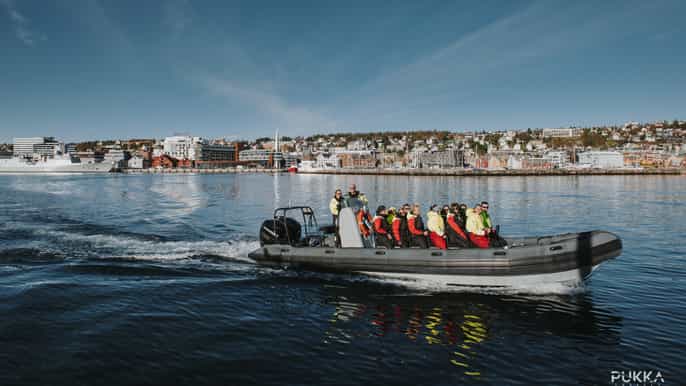 tromso fjord excursion by rib boat