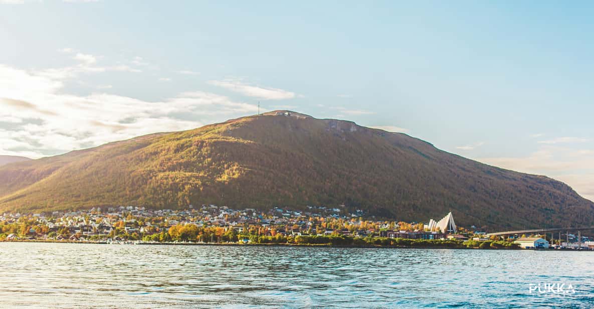 Tromso: Fjord Excursion by RIB Boat