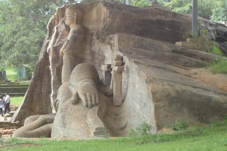From Colombo To Polonnaruwa Transfer with Sightseeing Stops