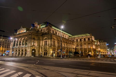 Vienna: Christmas Evening Tour with Schönbrunn Palace Lights