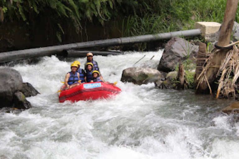 Bali Rafting: River Rafting with Zipline Down to the River River Rafting Only ( No Transport )