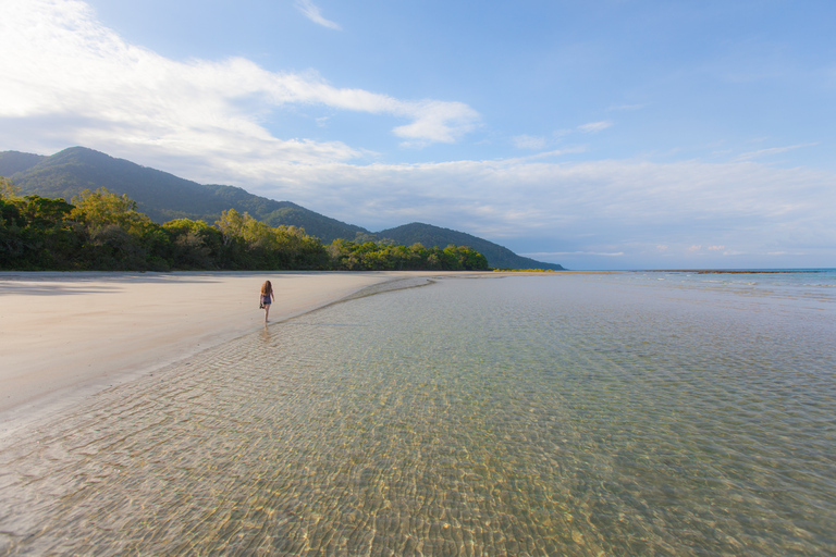 Wildernis van Daintree en Cape Tribulation: dagvullende tourDaintree & ophaalservice bij Port Douglas