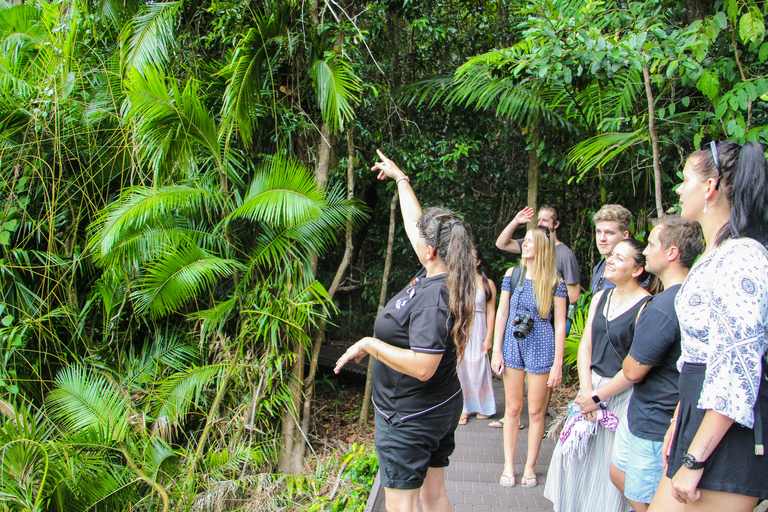 Wildernis van Daintree en Cape Tribulation: dagvullende tourDaintree & ophaalservice bij Port Douglas