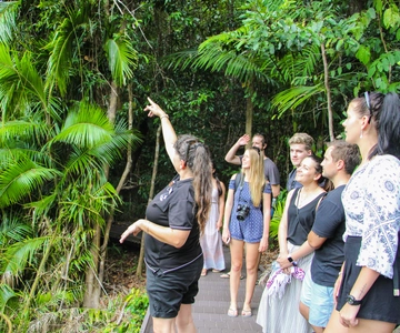 From Cairns: Daintree Wilderness & Cape Tribulation Bus Tour