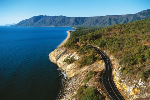 Wildernis van Daintree en Cape Tribulation: dagvullende tourDaintree & ophaalservice bij Port Douglas