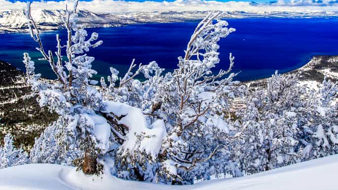 tour panorámico en vehículo por el lago tahoe
