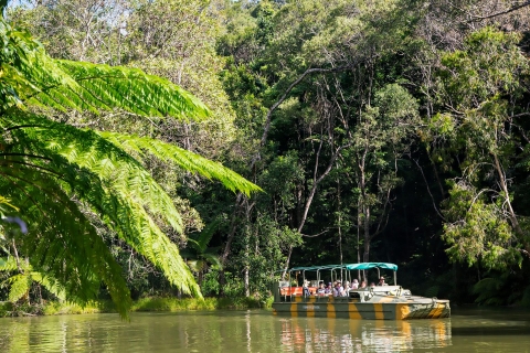 N. Queenslanad: Tagestour durch den Regenwald von KurandaAbholung am Hotel von Palm Cove