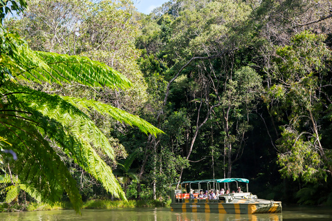 N. Queenslanad: Tagestour durch den Regenwald von KurandaAbholung am Hotel von Palm Cove