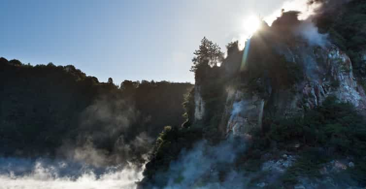 Waimangu Volcanic Valley Morning Tour GetYourGuide