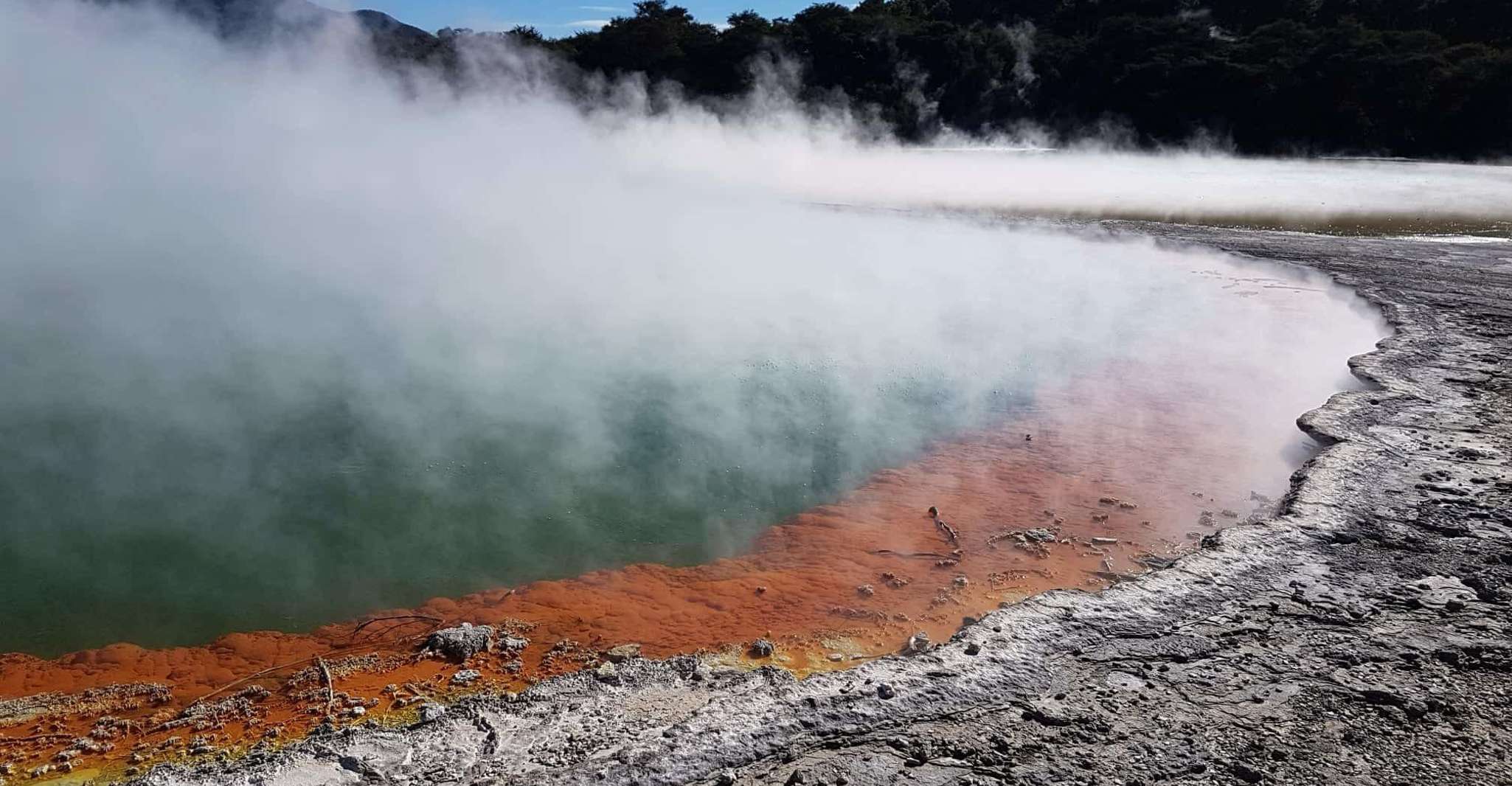 From Rotorua, Wai-O-Tapu, Waimangu and Te Puia Full-Day Tour - Hizvo