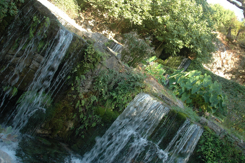 Rethymnon: Kournas See, Argyroupolis, und Olivenöl Tour