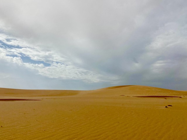 Visit 3 jours au cœur du désert in Nouakchott