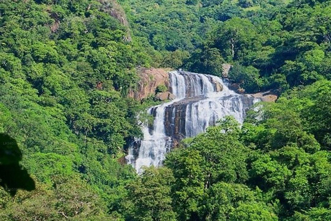 Polonnaruwa: Waterfalls, Village, Vedda Tour & Kandy Drop