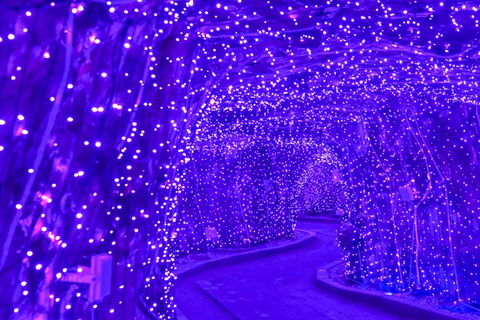 Busan: Discovery Tour With Snow &amp; UNESCO Spot