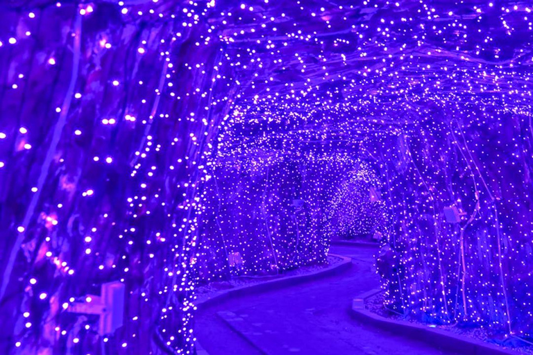 Busan: Discovery Tour With Snow &amp; UNESCO Spot