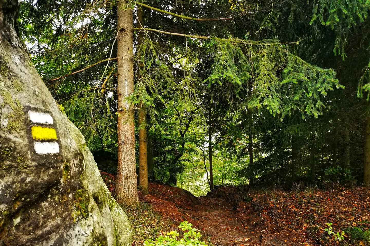 布拉格出发：波西米亚天堂一日徒步游