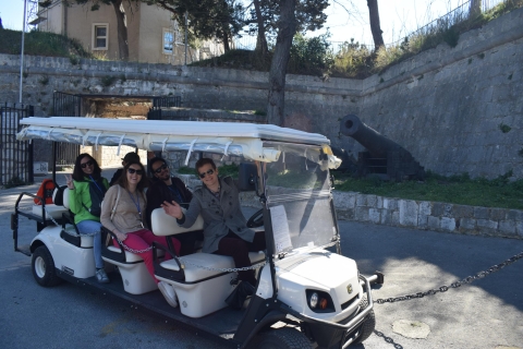 Split: Prywatna wycieczka samochodem elektrycznym po mieście
