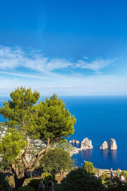 From Naples: Group Day Trip And Guided Tour Of Capri, 41% OFF