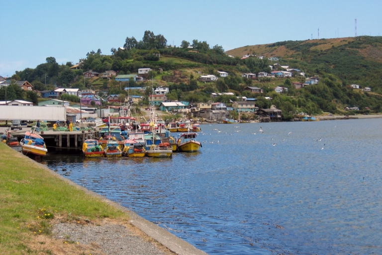 Puerto Varas: Całodniowa wycieczka na wyspę Chiloe Castro i DalcahuePuerto Montt - całodniowa wycieczka na wyspę Chiloe.