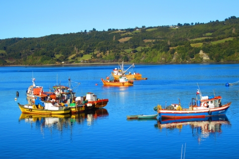 Puerto Varas: Całodniowa wycieczka na wyspę Chiloe Castro i DalcahuePuerto Montt - całodniowa wycieczka na wyspę Chiloe.