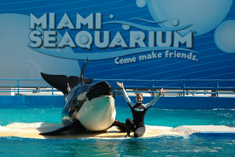 Miami Sightseeing Day Pass - 35+ sevärdheter3 dagars Miami Sightseeing Pass