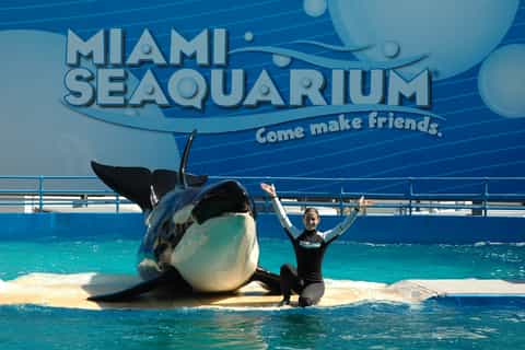 The Miami Sightseeing Day Pass – 35+ Attractions
