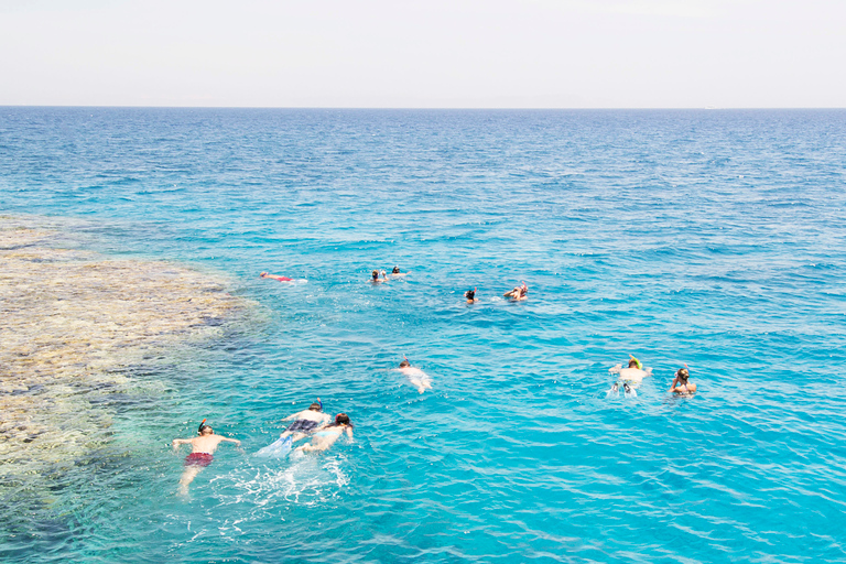 Hurghada : Observation des dauphins et plongée en apnée avec transfert privéExcursion avec transfert privé