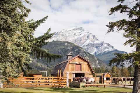 Banff National Park: 1-Hour Bow River Horseback Ride