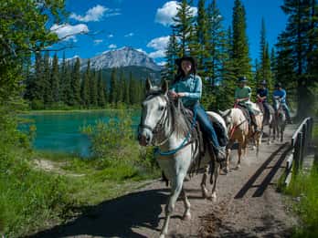 Nationalpark Banff: 1-stündige Reittour am Bow River Nationalpark Banff: 1-stündige Reittour am Bow River