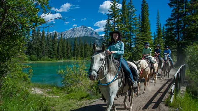 banff national park 1hour bow river horseback ride