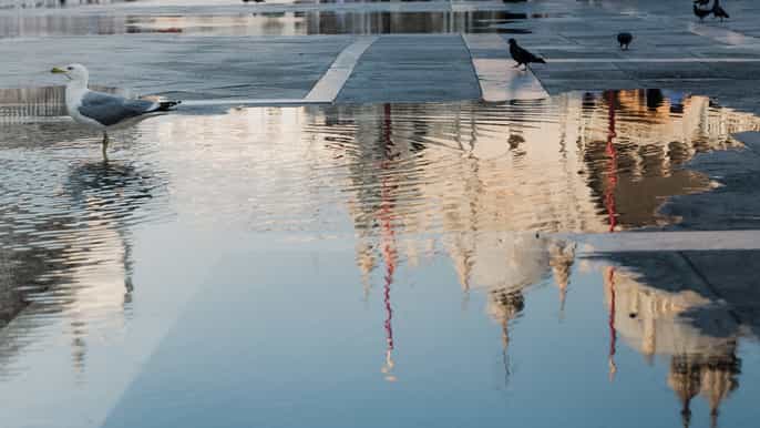 venedig stadtrundfahrt und murano glass experience