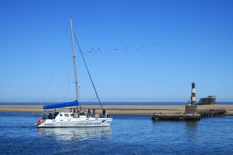 Walvis Bay: luxe catamarantour naar Big 5 van de Zee