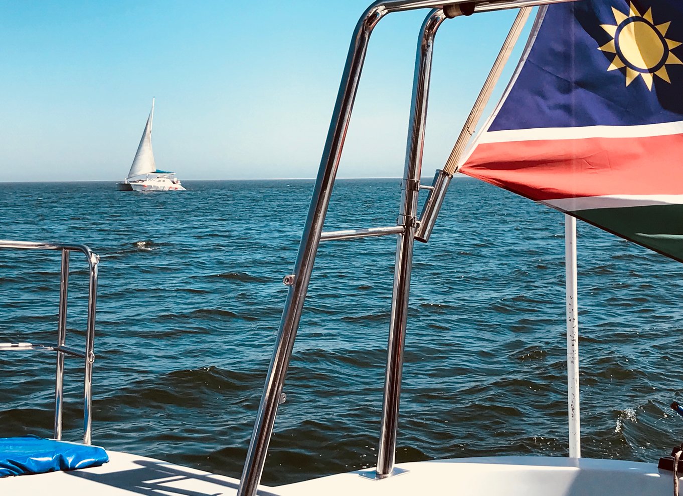 Walvis Bay: Marine Big 5 luksus katamaran tur