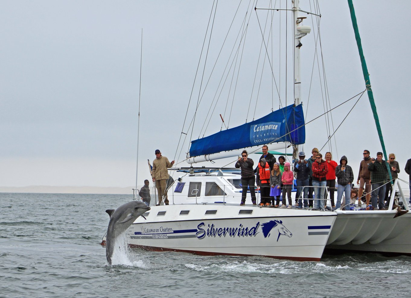 Walvis Bay: Marine Big 5 luksus katamaran tur