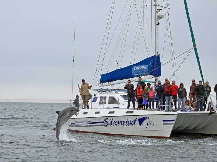 catamaran charters swakopmund
