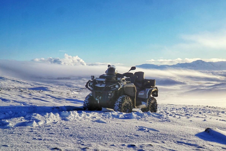Reykjavik: Quad- & Walbeobachtungs-TourPrivate Fahrt im ATV-Fahrzeug & Walbeobachtung