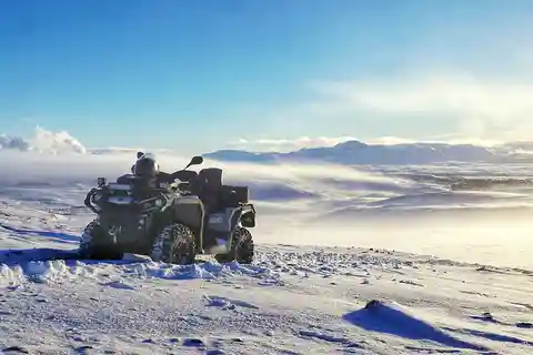 Reykjavik: ATV-åkning & båtresa med valskådning